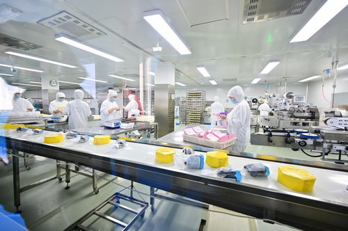 餐桌上的安全衛士 走進沈陽綠色工廠，揭秘食品產業的生產革命